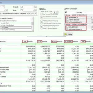 Financial Consolidate Module